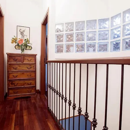 New Loft Fashion Apartment *